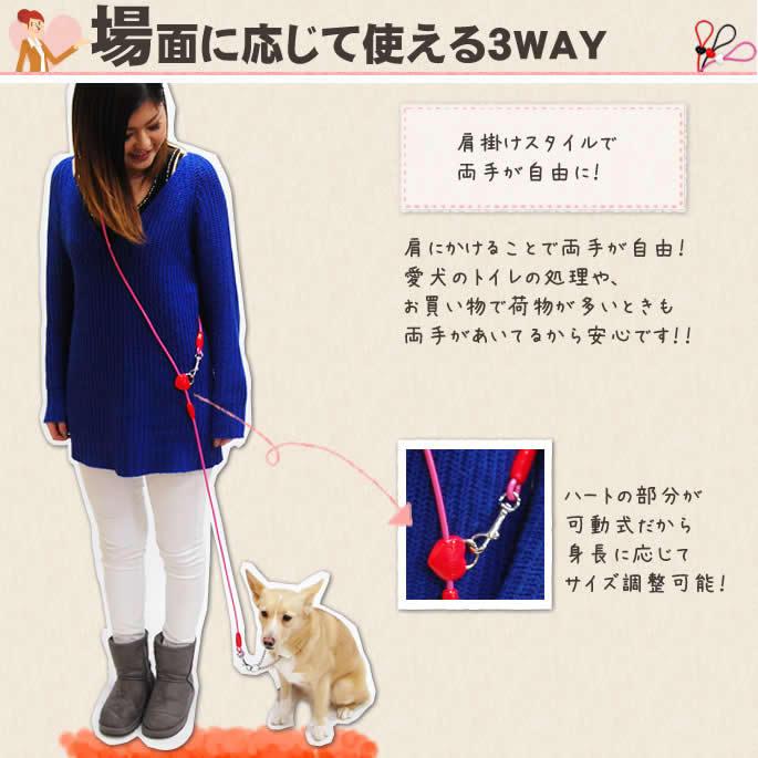 犬 リード ASHU ラブリーレイン3WAYリード　Sサイズ 小〜中型犬　防水・耐久性抜群 | ASHU | 03