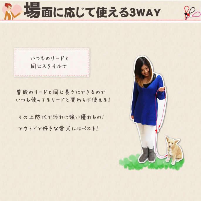 犬 リード ASHU ラブリーレイン3WAYリード　Sサイズ 小〜中型犬　防水・耐久性抜群 | ASHU | 04