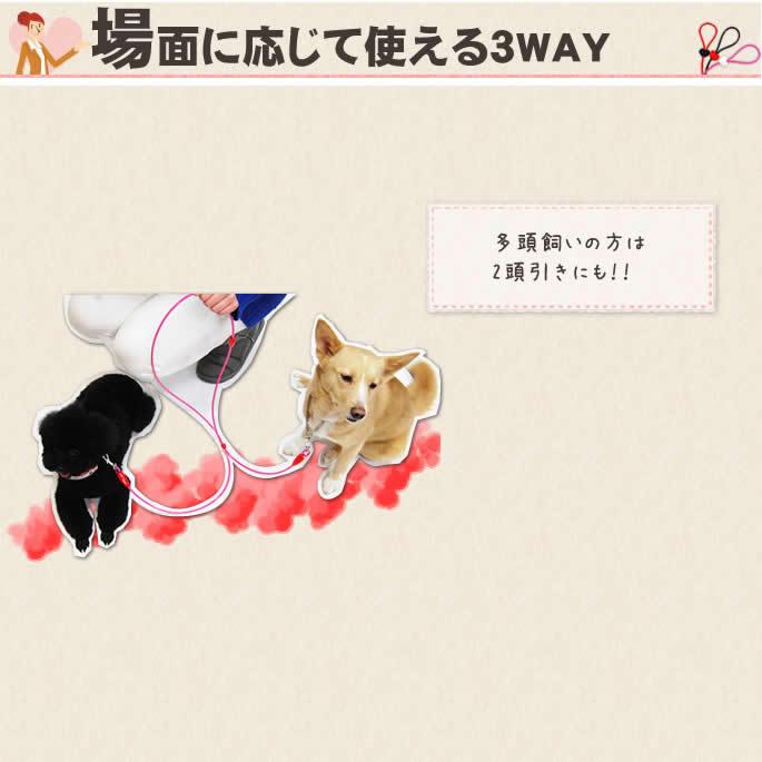 犬 リード ASHU ラブリーレイン3WAYリード　Sサイズ 小〜中型犬　防水・耐久性抜群 | ASHU | 05