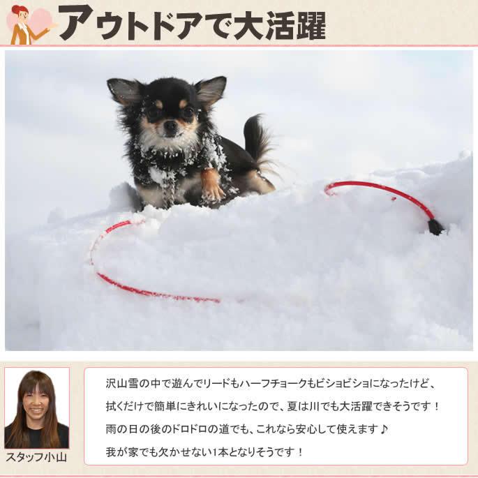 犬 ハーフチョーク リード ASHU ラブリーレインハーフチョーク＆リードセット 中〜大型犬 Ｌサイズ | ASHU | 11