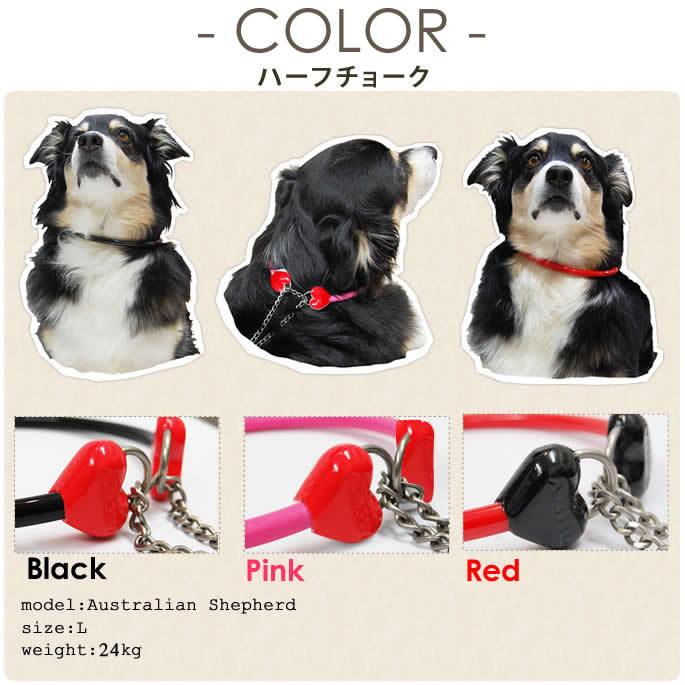 犬 ハーフチョーク リード ASHU ラブリーレインハーフチョーク＆リードセット 大型犬 LLサイズ | ASHU | 12