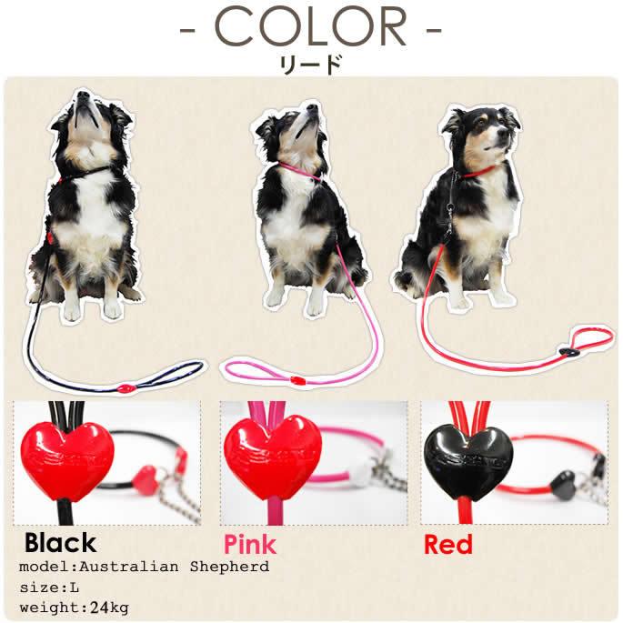 犬 ハーフチョーク リード ASHU ラブリーレインハーフチョーク＆リードセット 大型犬 LLサイズ | ASHU | 13