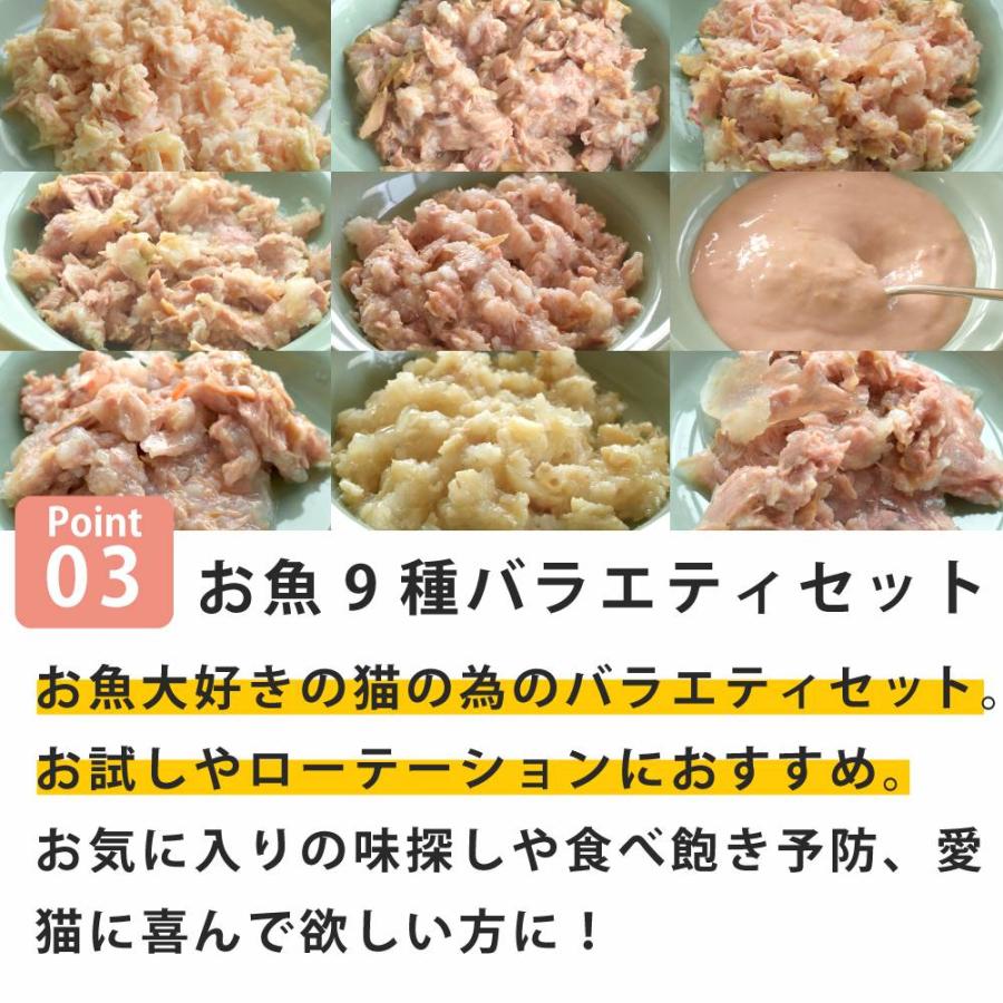 ナチュラルコード フィッシュセレクション お魚好きのための9種バラエティセット 猫用 |  | 03