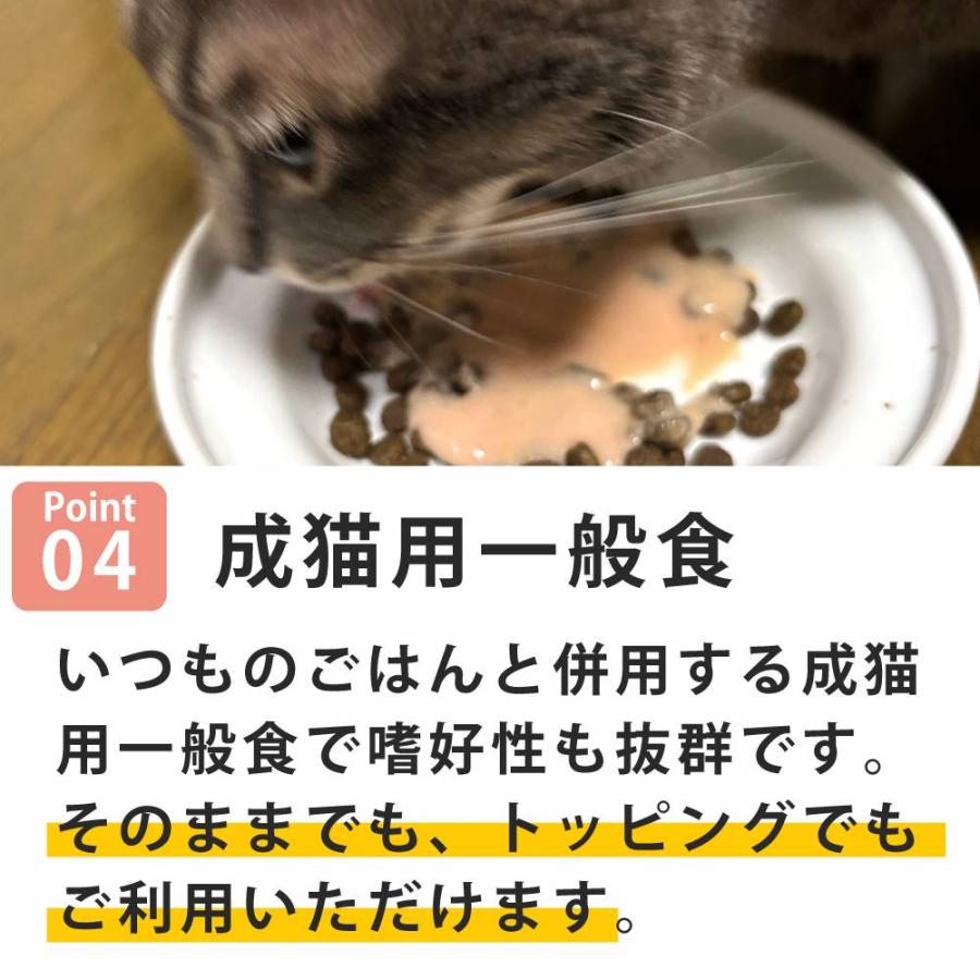 NCN7 猫 ヴェッルタータ チキン チキンプロシュート入り 85g ナチュラルコード ポタージュタイプ |  | 04