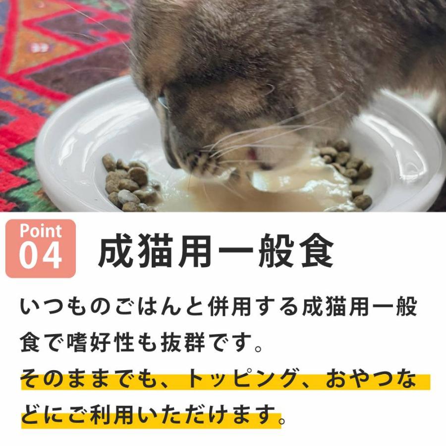 NCN8 猫 ヴェッルタータ マグロ サーモン入り 85g ナチュラルコード ポタージュタイプ |  | 04