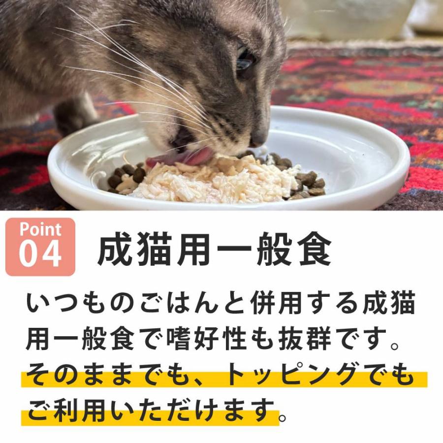 【発売記念・数量限定20%OFF】NCP03 猫 チキン ラム&ポテト入り 70g ナチュラルコード フレーク ジュレ仕立て アダルトパウチ |  | 04