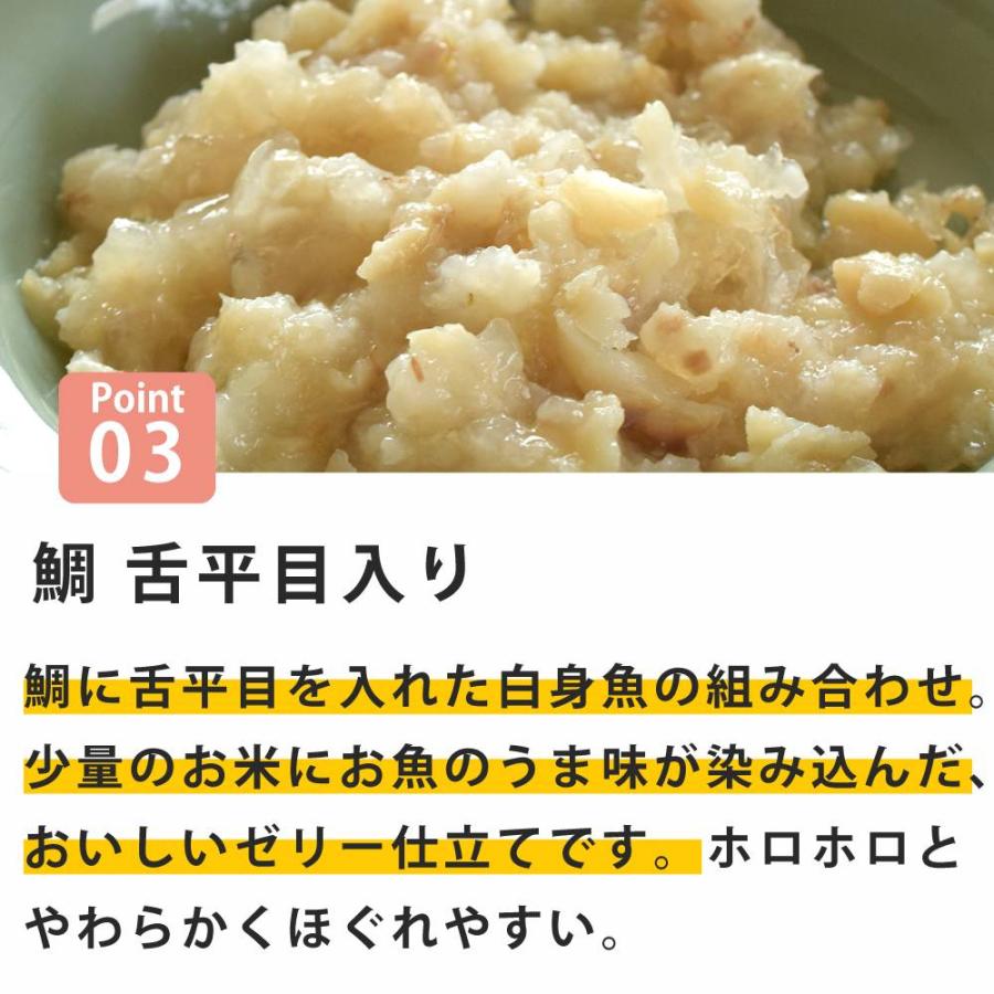 NCP11 猫 鯛 舌平目入り 70g ナチュラルコード フレーク ジュレ仕立て アダルトパウチ |  | 03
