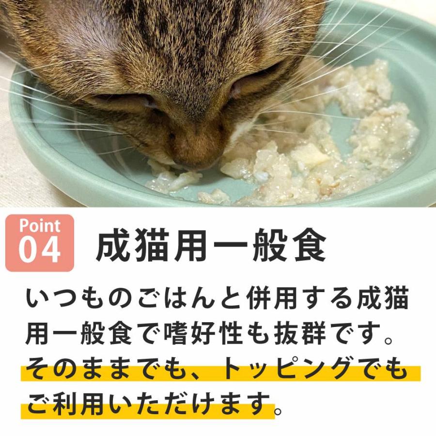 NCP11 猫 鯛 舌平目入り 70g ナチュラルコード フレーク ジュレ仕立て アダルトパウチ |  | 04