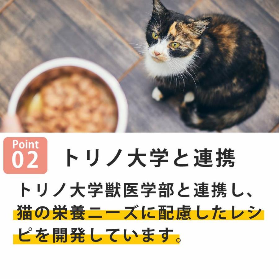 NCP11 猫 鯛 舌平目入り 70g ナチュラルコード フレーク ジュレ仕立て アダルトパウチ |  | 06