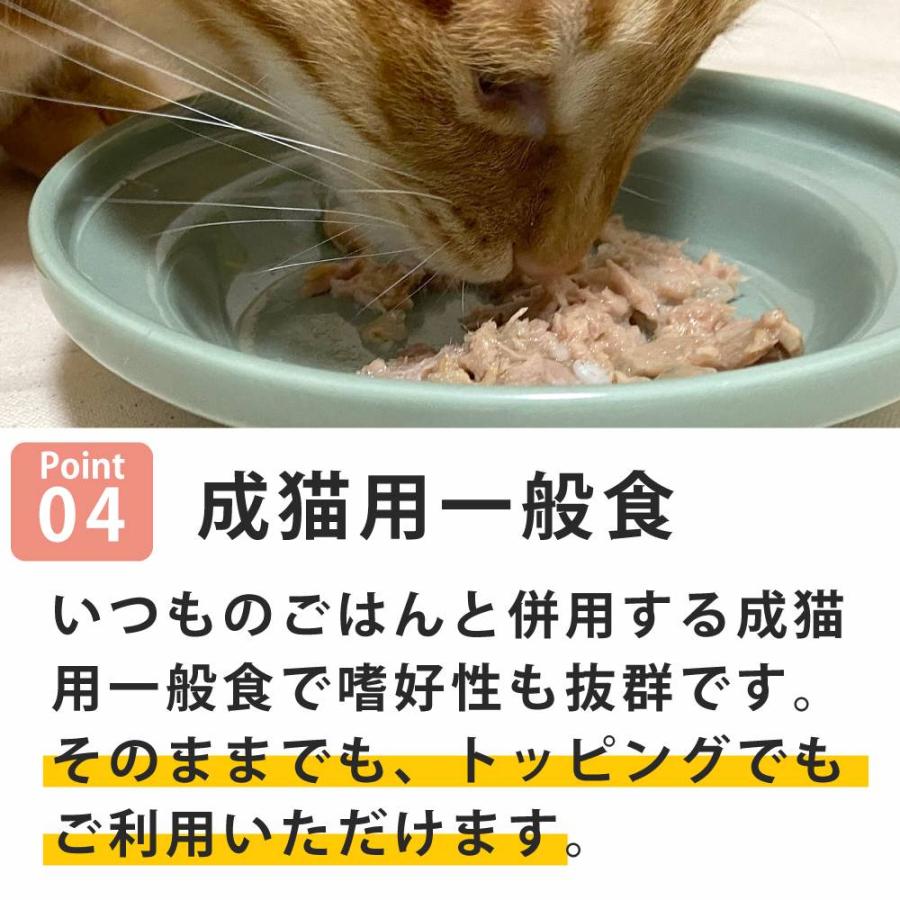 【発売記念・数量限定20%OFF】NCP13 猫 マグロ サーモン入り 70g ナチュラルコード フレーク ジュレ仕立て アダルトパウチ |  | 04