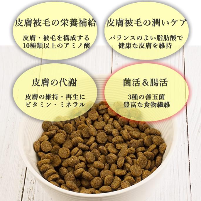 食事療法食｜ナチュラルハーベスト|スキン＆コート　100g | ナチュラルハーベスト | 02