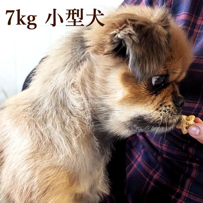 ナチュラルハーベスト（NATURAL harvest） 愛犬用 おやつ おやつ 腸活