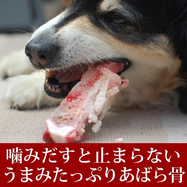 骨 無添加デンタルボーン 黒毛和牛の生骨 Sサイズ 小型犬用 Oumi Hone001 犬手作りごはん帝塚山ハウンドカム 通販 Yahoo ショッピング