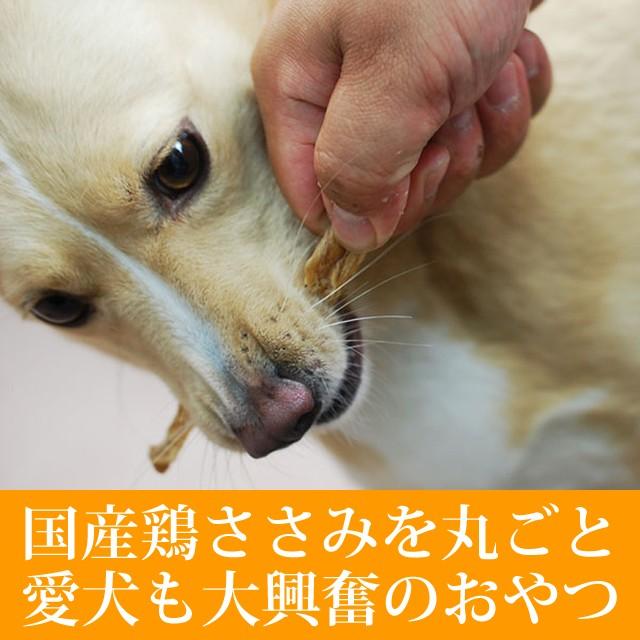 犬 おやつ 犬 猫 ペット 用 低脂肪 無添加 ジャーキー 国産 鶏肉 ささみ 全犬種 安心 安全 小型犬 中型犬 大型犬 丸ごとささみ | 帝塚山ハウンドカム | 01