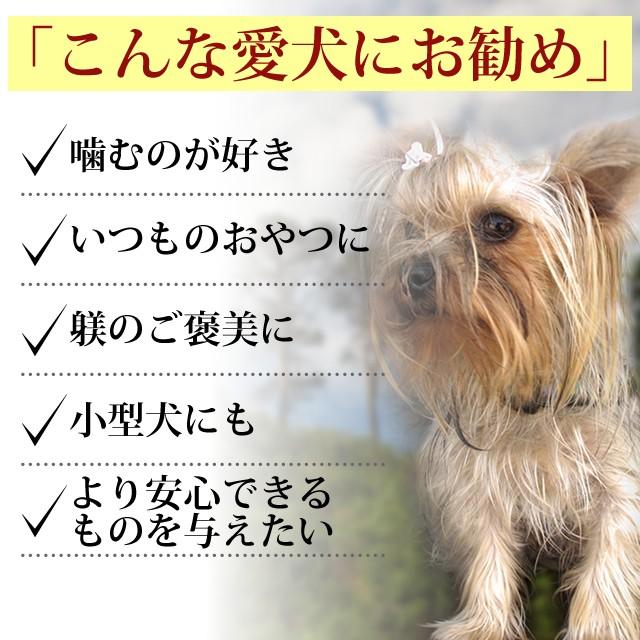 犬 おやつ 犬 猫 ペット 用 低脂肪 無添加 ジャーキー 国産 鶏肉 ささみ 全犬種 安心 安全 小型犬 中型犬 大型犬 丸ごとささみ | 帝塚山ハウンドカム | 03