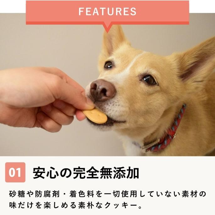 犬 おやつ 無添加 国産 オリジナルクッキー かぼちゃ 安心 | 帝塚山ハウンドカム | 01
