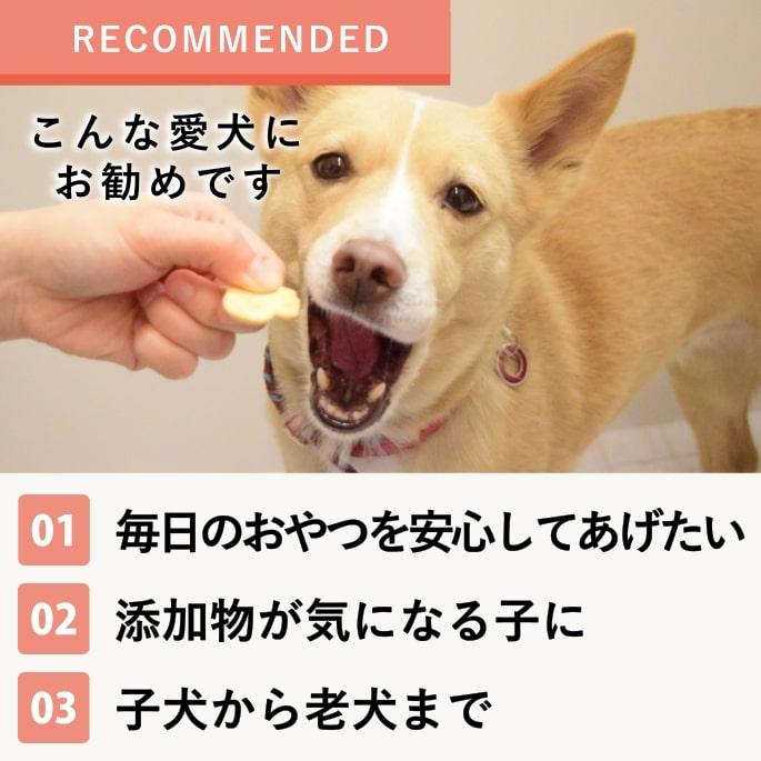 犬 おやつ 無添加 国産 オリジナルクッキー かぼちゃ 安心 | 帝塚山ハウンドカム | 03