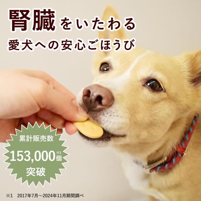 犬 おやつ 無添加 国産 オリジナルクッキー 腎ケアプラス 低リンで腎臓に配慮 シニア犬 小型犬 中型犬 大型犬 | 帝塚山ハウンドカム | 01