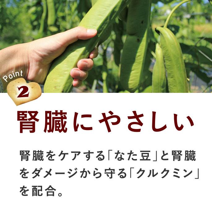 犬 おやつ 無添加 国産 オリジナルクッキー 腎ケアプラス 5袋セット 低リンで腎臓に配慮 シニア犬 小型犬 中型犬 大型犬 | 帝塚山ハウンドカム | 07