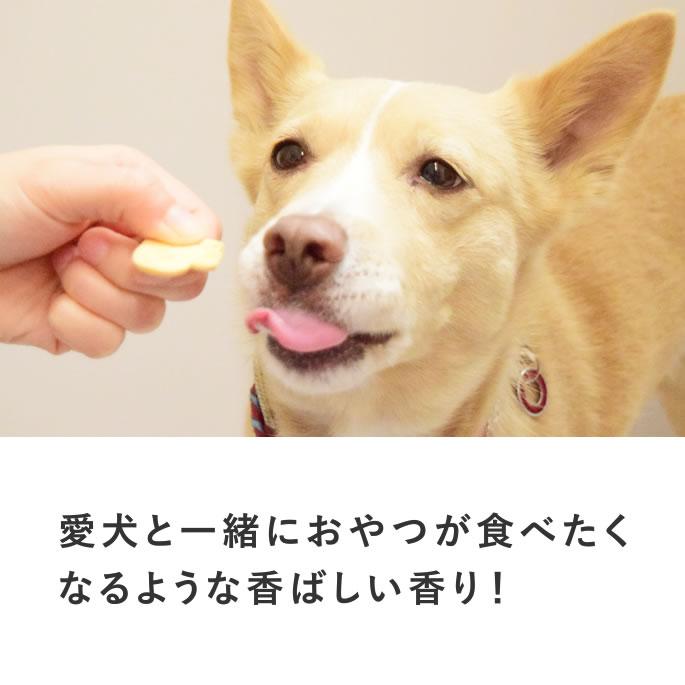 犬 おやつ 無添加 国産 オリジナルクッキー 腎ケアプラス 5袋セット 低リンで腎臓に配慮 シニア犬 小型犬 中型犬 大型犬 | 帝塚山ハウンドカム | 09