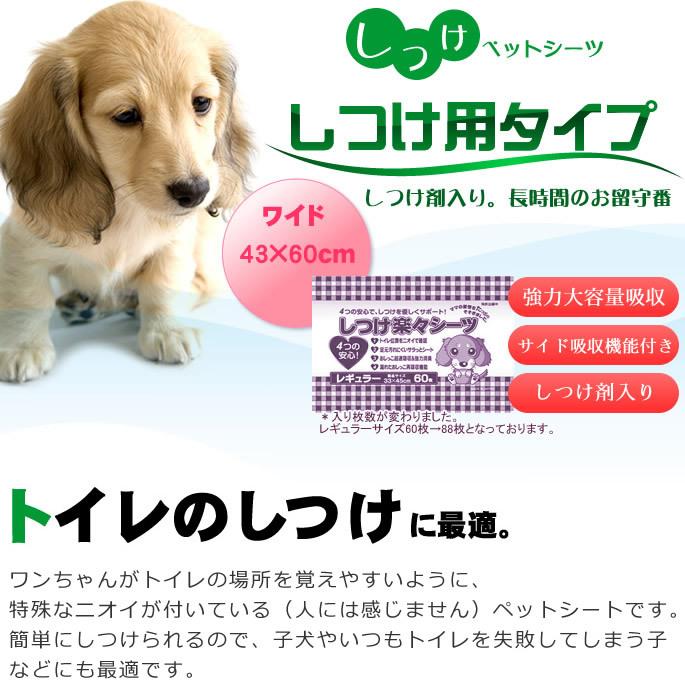 ペットシーツ トイレのしつけにしつけ用 ペットシーツ ワイドサイズ 176枚入 ペットシーツ |  | 01