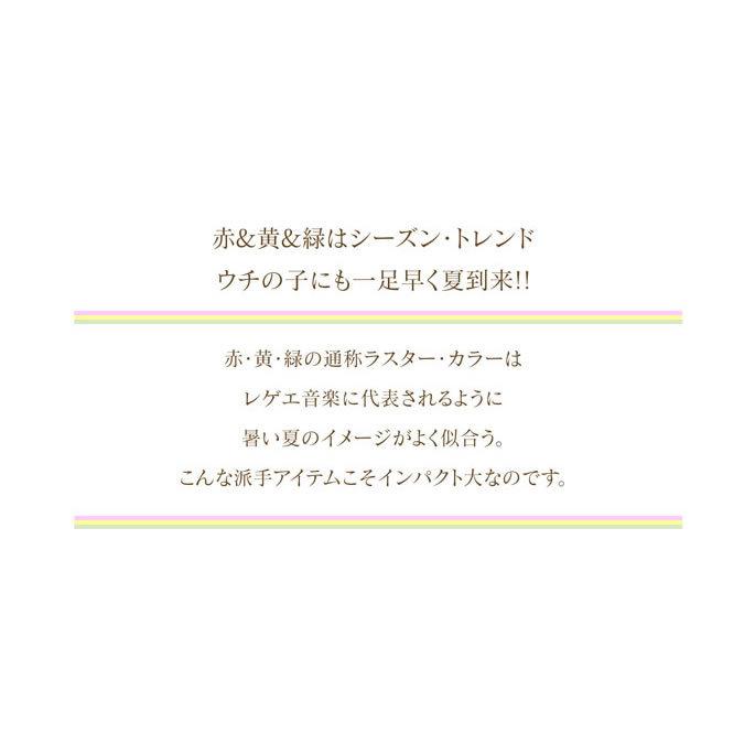 犬のハーネス ASHUラスターハーネス Mサイズ | ASHU | 02