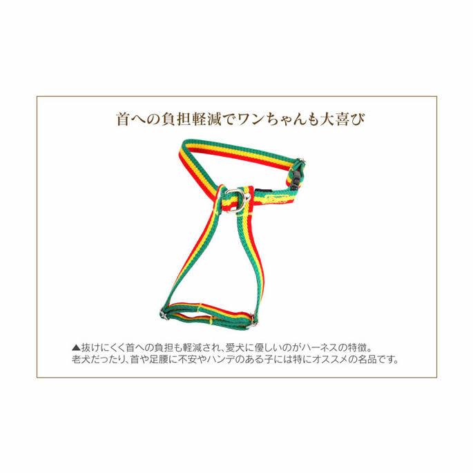 犬のハーネス ASHUラスターハーネス Mサイズ | ASHU | 03