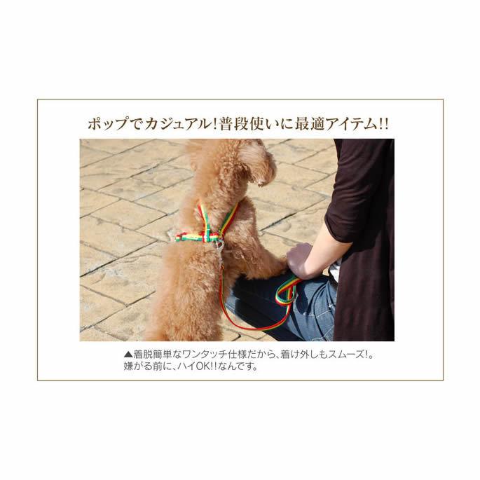 犬のハーネス ASHUラスターハーネス Mサイズ | ASHU | 04
