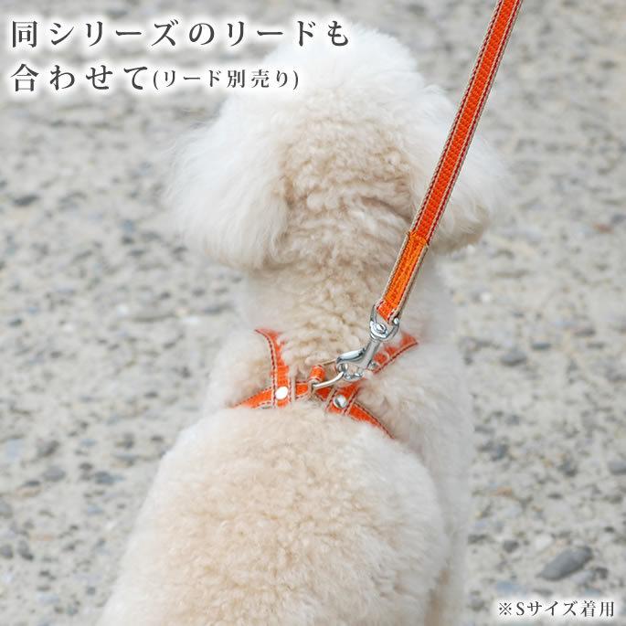 犬 ハーネス ASHU ワンラインWハーネス Mサイズ | ASHU | 06