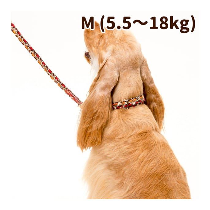 犬 首輪 ASHU*ネオ カラー サイズ：M | ASHU