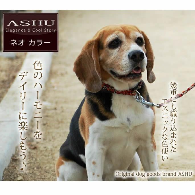 犬 首輪 ASHU*ネオ カラー サイズ：M | ASHU | 02