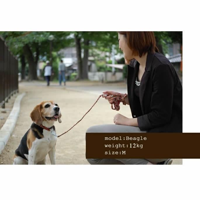 犬 首輪 ASHU*ネオ カラー サイズ：M | ASHU | 03