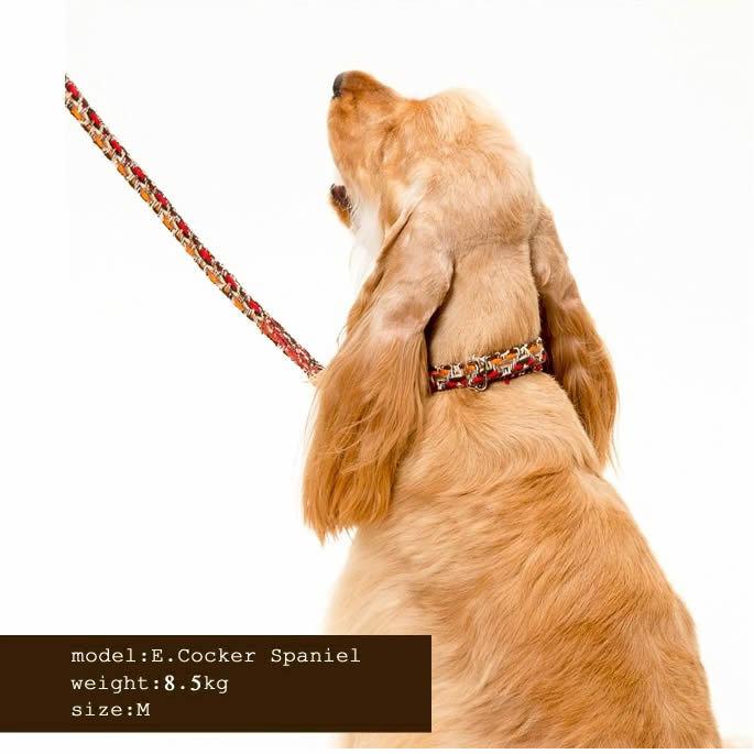 ASHU 犬 首輪 ASHU*ネオ カラー サイズ：M : 安心おやつ歯みがき帝塚山