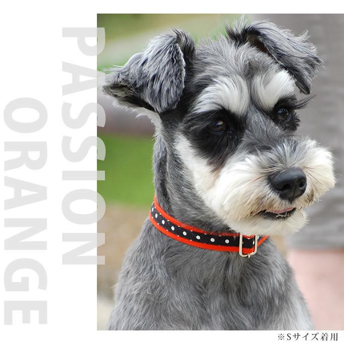 ASHU 犬 首輪 ラブリードット カラー・首輪 サイズM : 安心おやつ
