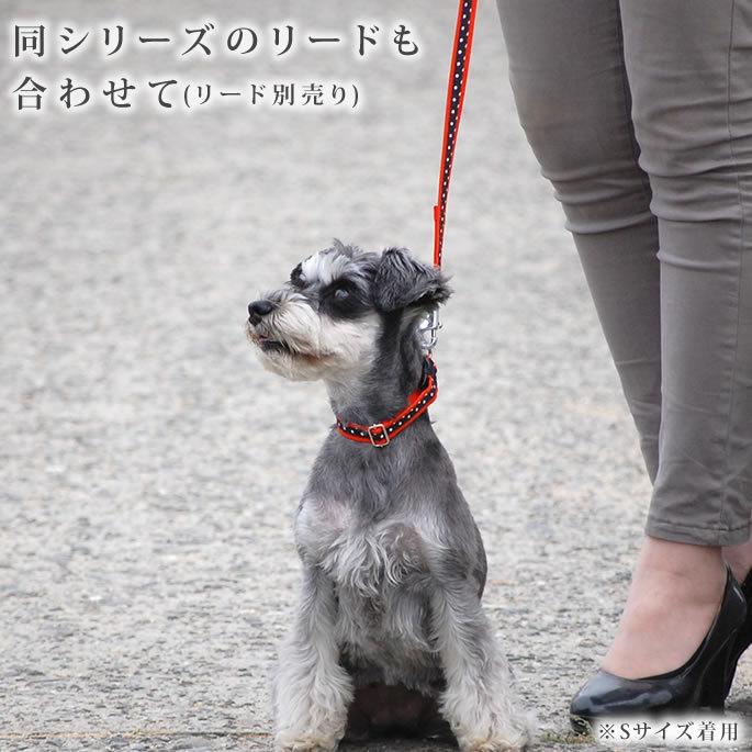 ASHU 犬 首輪 ラブリードット カラー・首輪 サイズM : 安心おやつ
