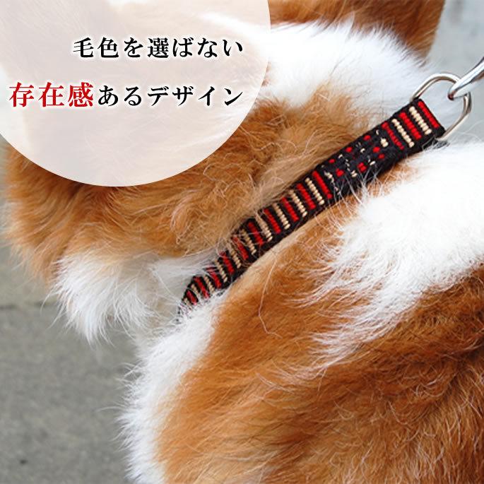 ASHU 犬用 首輪 ステップカラー Mサイズ 中型犬 : 安心おやつ歯みがき