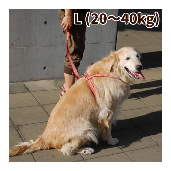 犬用 ハーネス 大型犬 Ashu ステップ ハーネスｌサイズ S 犬手作りごはん帝塚山ハウンドカム 通販 Yahoo ショッピング