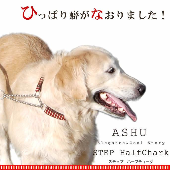 全てのアイテム 犬用 ハーフチョーク ASHU ハーフチョーク 犬 首輪 レッド Lサイズ ステップ 大型犬用 首輪 