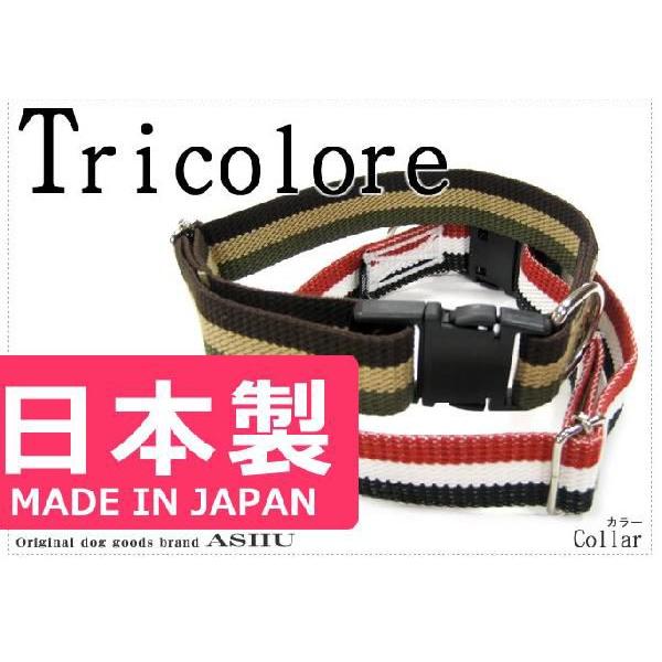 ASHU 犬 首輪 お散歩 トリコロールカラー サイズL : 安心おやつ