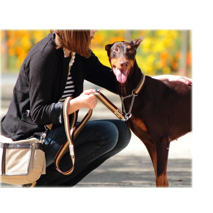 犬 リード お散歩 ASHU トリコロール リード サイズ L | ASHU | 07