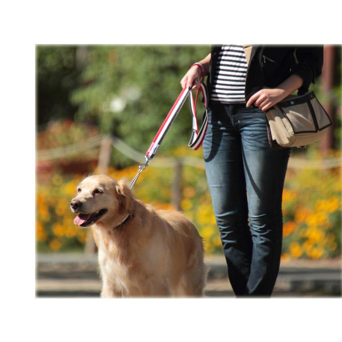 犬 リード お散歩 ASHU トリコロール リード サイズ L | ASHU | 08