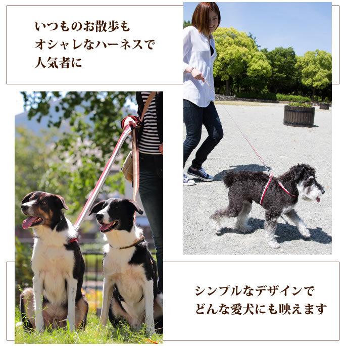 犬 ハーネス お散歩 ASHU トリコロール サイズS | ASHU | 05