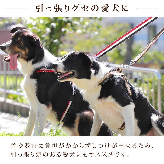 犬 ハーネス お散歩 ASHU トリコロール サイズS | ASHU | 07