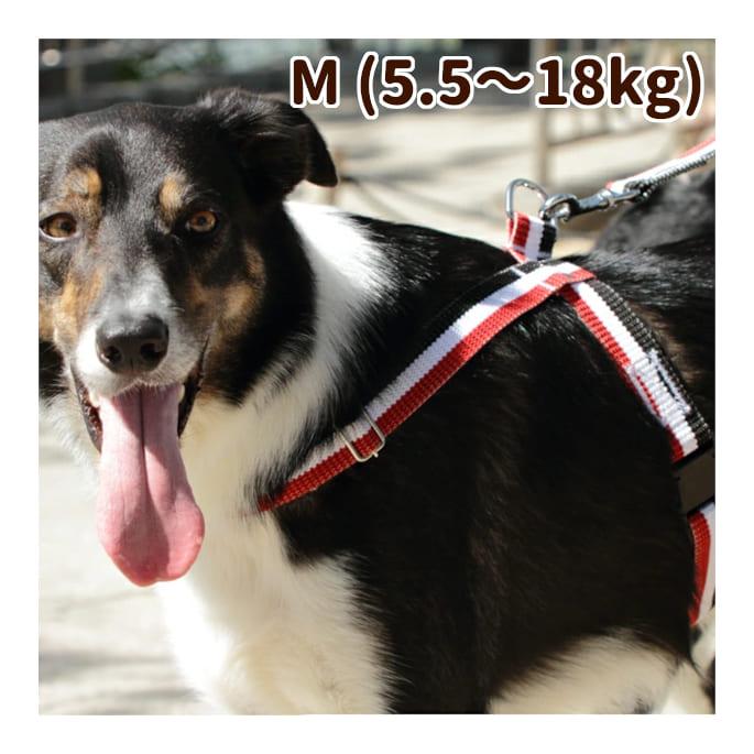 ASHU 犬 ハーネス お散歩 トリコロール サイズM : 安心おやつ歯みがき