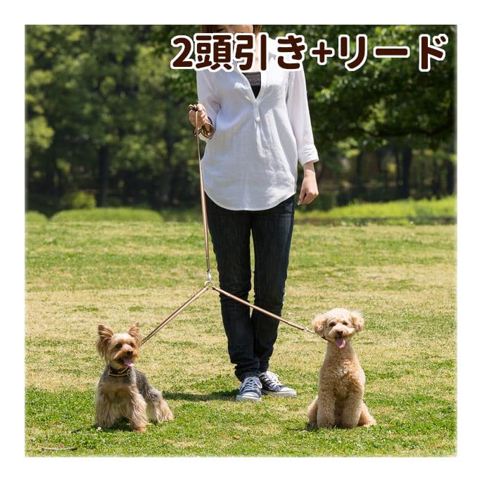 多頭飼いに｜ASHU　トリコロール　２頭引き　リード セット | ASHU