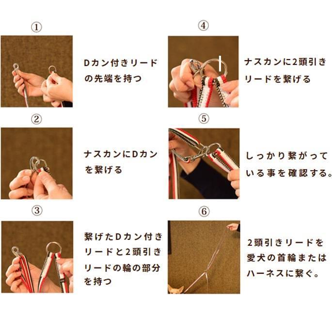 多頭飼いに｜ASHU　トリコロール　２頭引き　リード セット | ASHU | 04