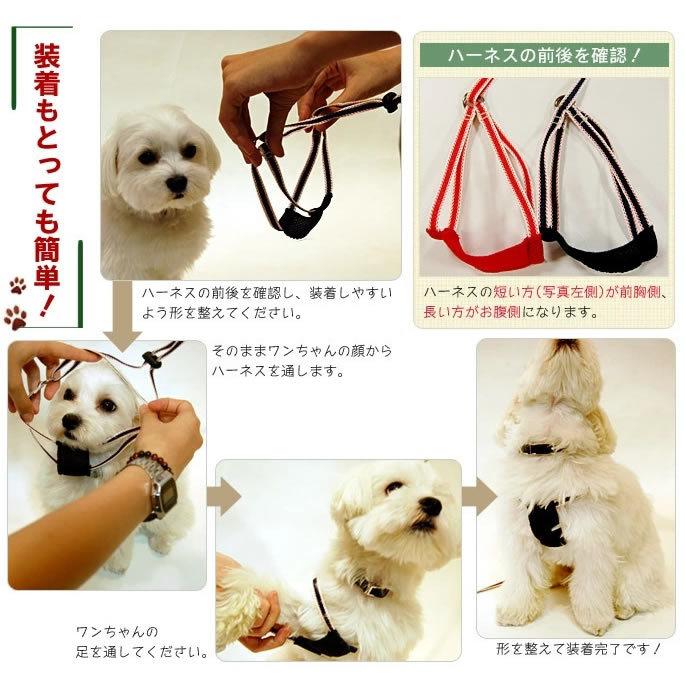 犬 ハーネス Ashuイージーハーネスリード Mサイズ 超小型犬 小型犬 犬 胴輪 S 犬手作りごはん帝塚山ハウンドカム 通販 Yahoo ショッピング