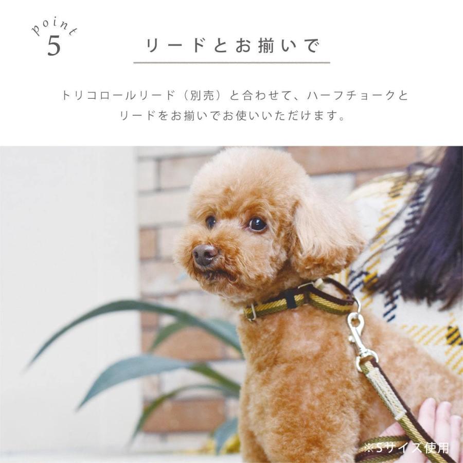 ASHU 犬用 トリコロール チェーンレス ハーフチョーク Lサイズ 大型犬