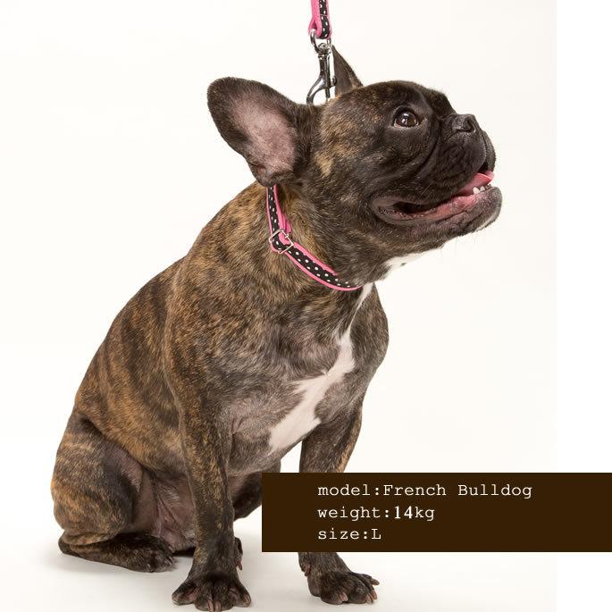 犬 首輪 ラブリードット サイズＬ 大型犬用 カラー・首輪 :s-010:犬手作りごはん帝塚山ハウンドカム 通販 