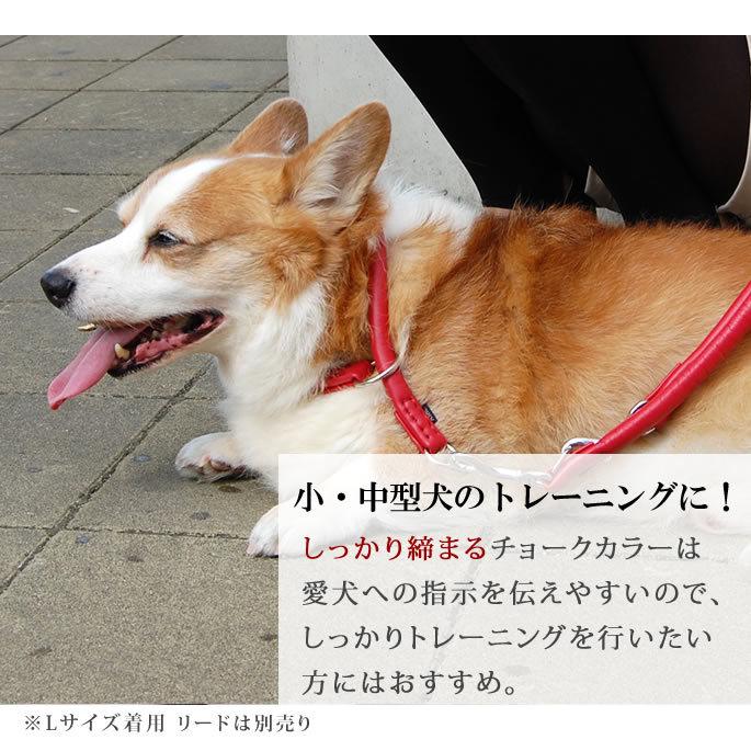 犬 首輪 革 レザー ASHU*ソフトレザー チョークカラー サイズ：LL 大型犬用 チョーク | ASHU | 03